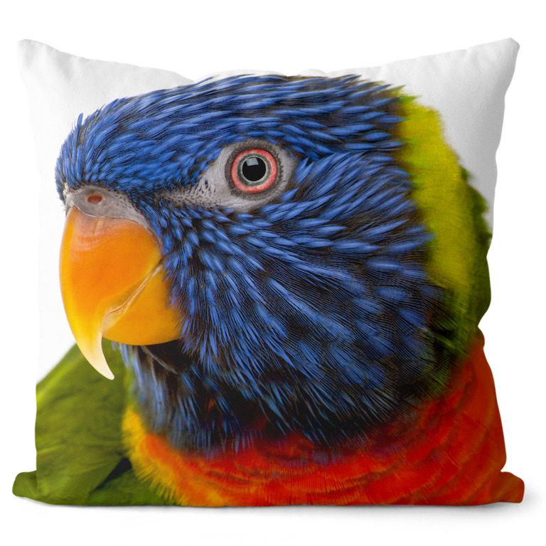 E-shop Vankúš Farebný papagáj (Veľkosť: 55 x 55 cm)
