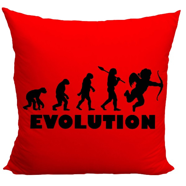 E-shop Vankúšik Evolution láska (Veľkosť: 55 x 55 cm)
